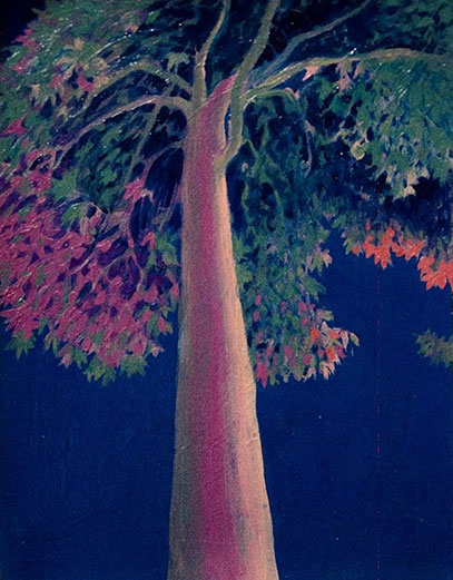Anahita Darab Beigi, Untitled, 2022