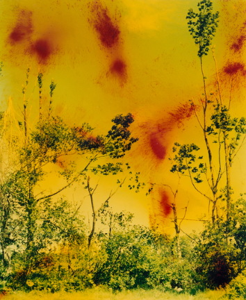 , Wolfgang Tillmans, Icestorm, 2001, 78039