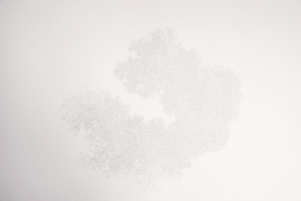 Samira Ahmadi Ghotbi, Untitled, 0