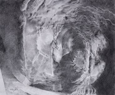 , Fatemeh Shakouri, Spinning peacock, 2022, 80942