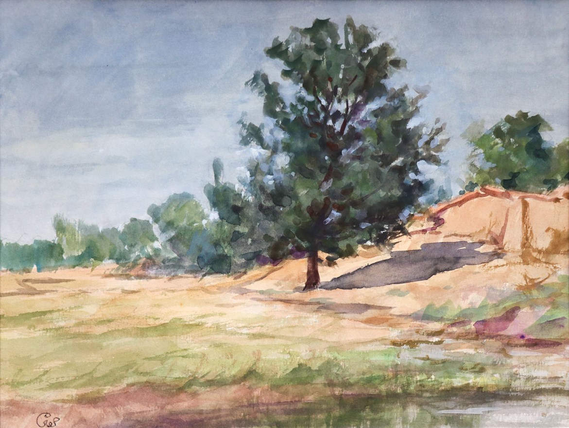 کیخسرو خروش