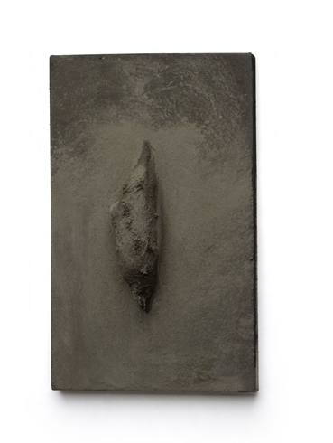 Maryam Behrouzinia, Untitled, 2022, 0