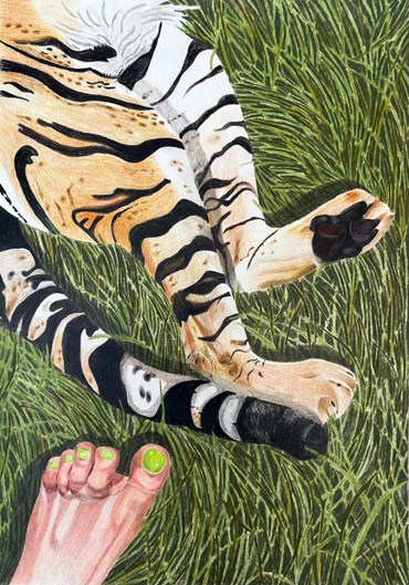 , Delaram Zakeri, Stepping on Tiger's Tail, 2026, 83302