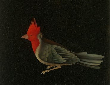 Painting, Nazi Azimi, Red Crested Cardinal, 2021, 68575