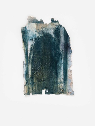 , Kamyar Bineshtarigh, Alka's Darkroom Wall IV, 2025, 80439