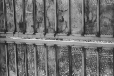 Photography, Kimia Askarian, Untitled, 2021, 76100