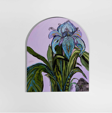 Marzieh Baghaei, Iris Lineolate, 2024, 0