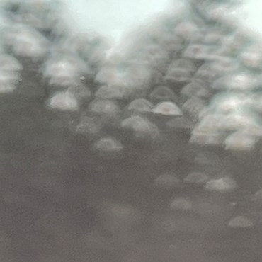 Photography, Kimia Askarian, Untitled, 2023, 76123