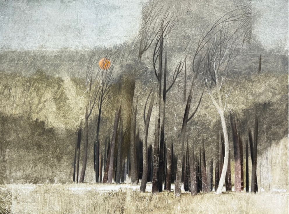 Rezvan Sadeghzadeh, Untitled, 0