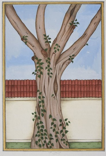 , Maryam Baniasadi, Tree Trunk in the Boundary Wall, 2022, 56799