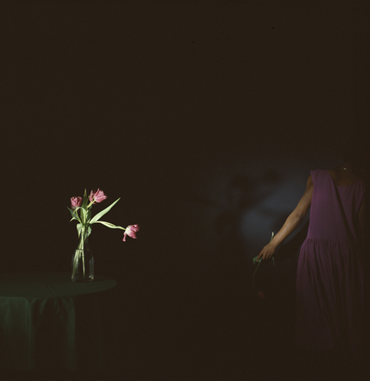 , Joy Gregory, Magenta and Green: Leaving the Space, 1985, 81140