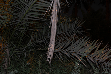 Forugh Taj, Untitled, Number 2 of 41, 2024, 0