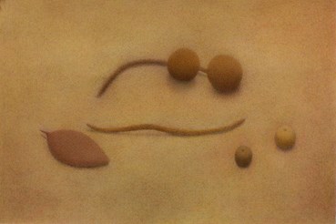 Painting, Noyan Farahi, Untitled, 2024, 82162