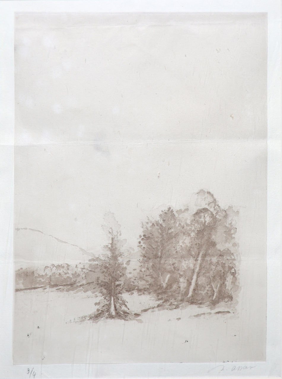 Nasser Assar, Untitled, 0