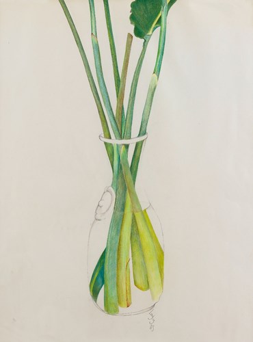 Painting, Leyly Matine Daftary, Green Plants in a Vase, 1983, 69914