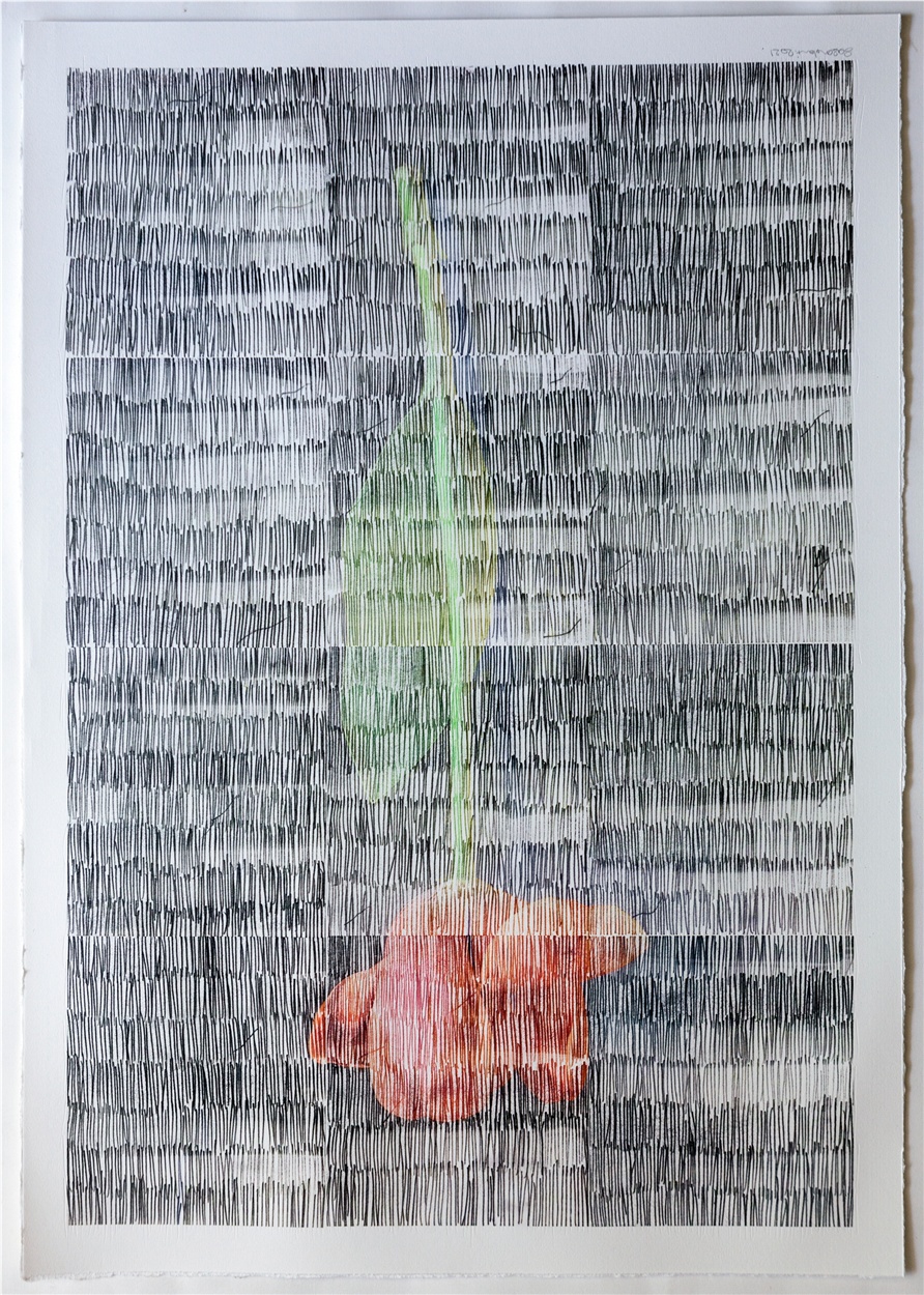 Sasan Abri, Untitled, 2020