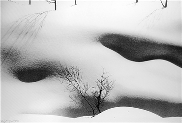 Photography, Abbas Kiarostami, Snow White, 2010, 22134