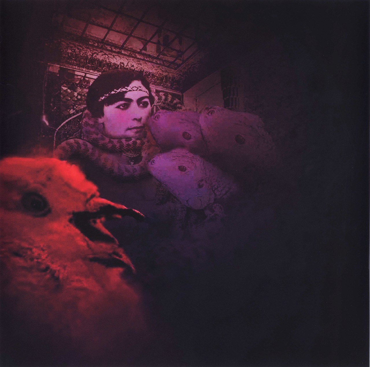 کاوه گلستان