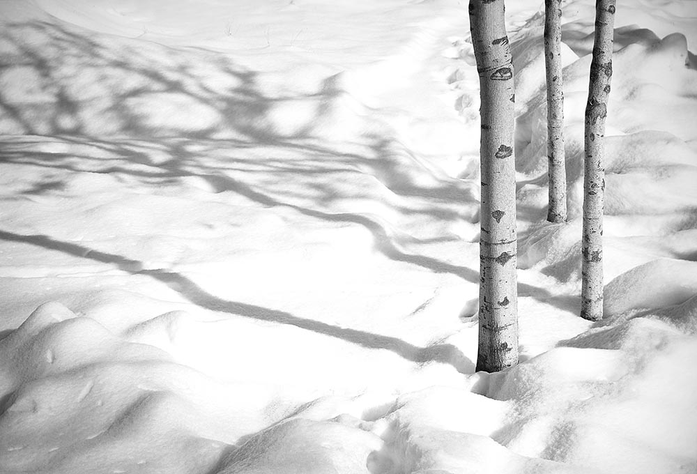 Abbas Kiarostami, Untitled, 2000