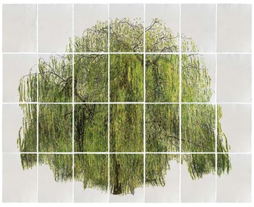 , Mehrali Razaghmanesh, Untitled, , 80502