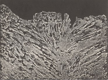 Marjan Khoram GolKaran, Untitled, 0, 0