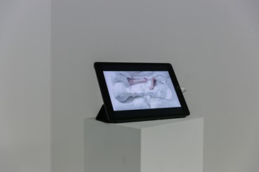 Installation, Katayoon Barzegar, Untitled, 2021, 71013