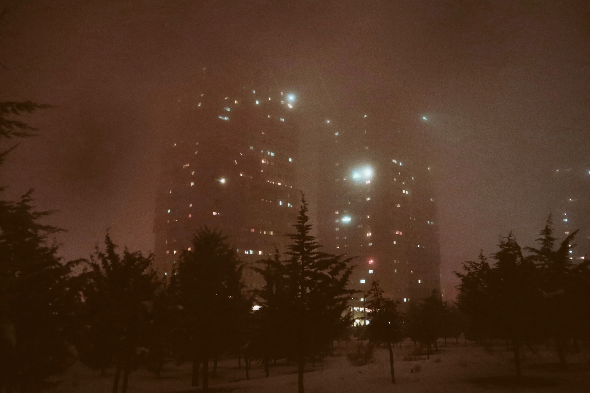 حنانه حیدری، توهم