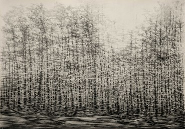 Drawing, Mahsa Arabzadeh, Untitled, 2021, 54319