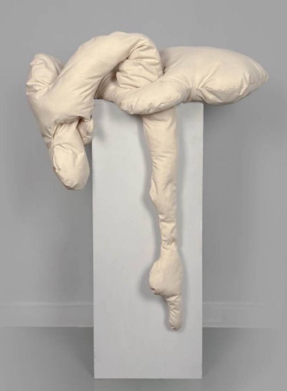 Torfeh Ekhlasi, Untitled, 0
