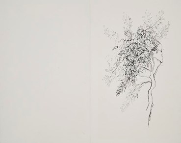 Drawing, Monir Shahroudy Farmanfarmaian, Branch of Tree, 1986, 52296