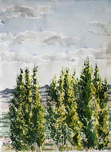 Saeid SaadatNia, Untitled, 0