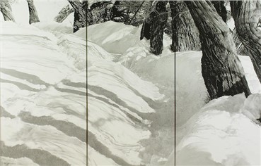 Print and Multiples, Abbas Kiarostami, Untitled, 2005, 5049