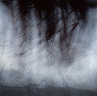 Mehran Mohajer, Untitled, 2025, 0