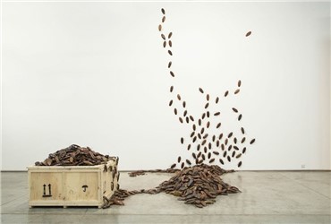 Installation, Bita Fayyazi, Cockroaches, 1998, 5796