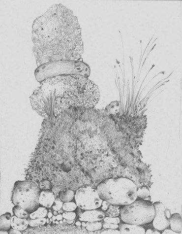 arefeh jafarpisheh, Untitled, 0, 0