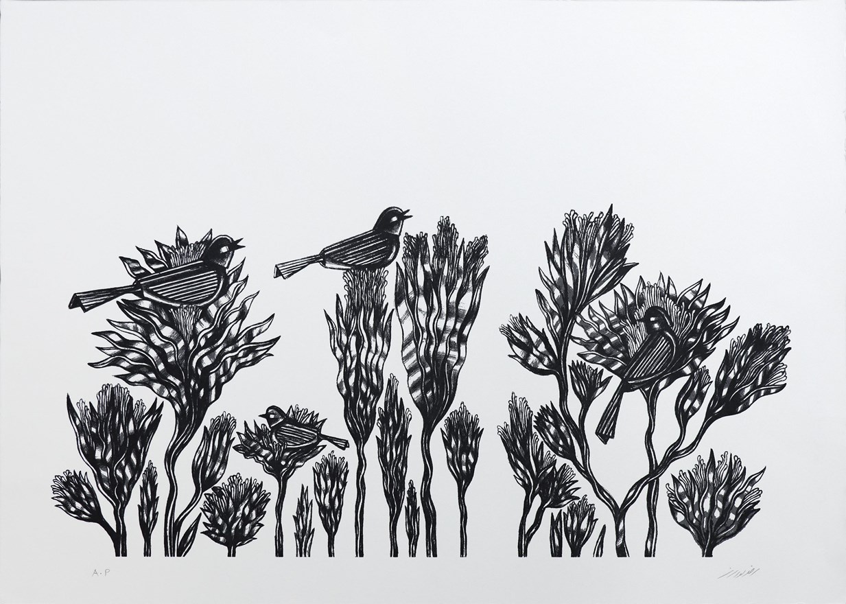 رضا لواسانی