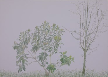 Painting, Erfan Rouhina, Untitled, 2022, 80140