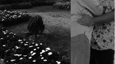 Arman Shahmoradi, Untitled, 0, 0