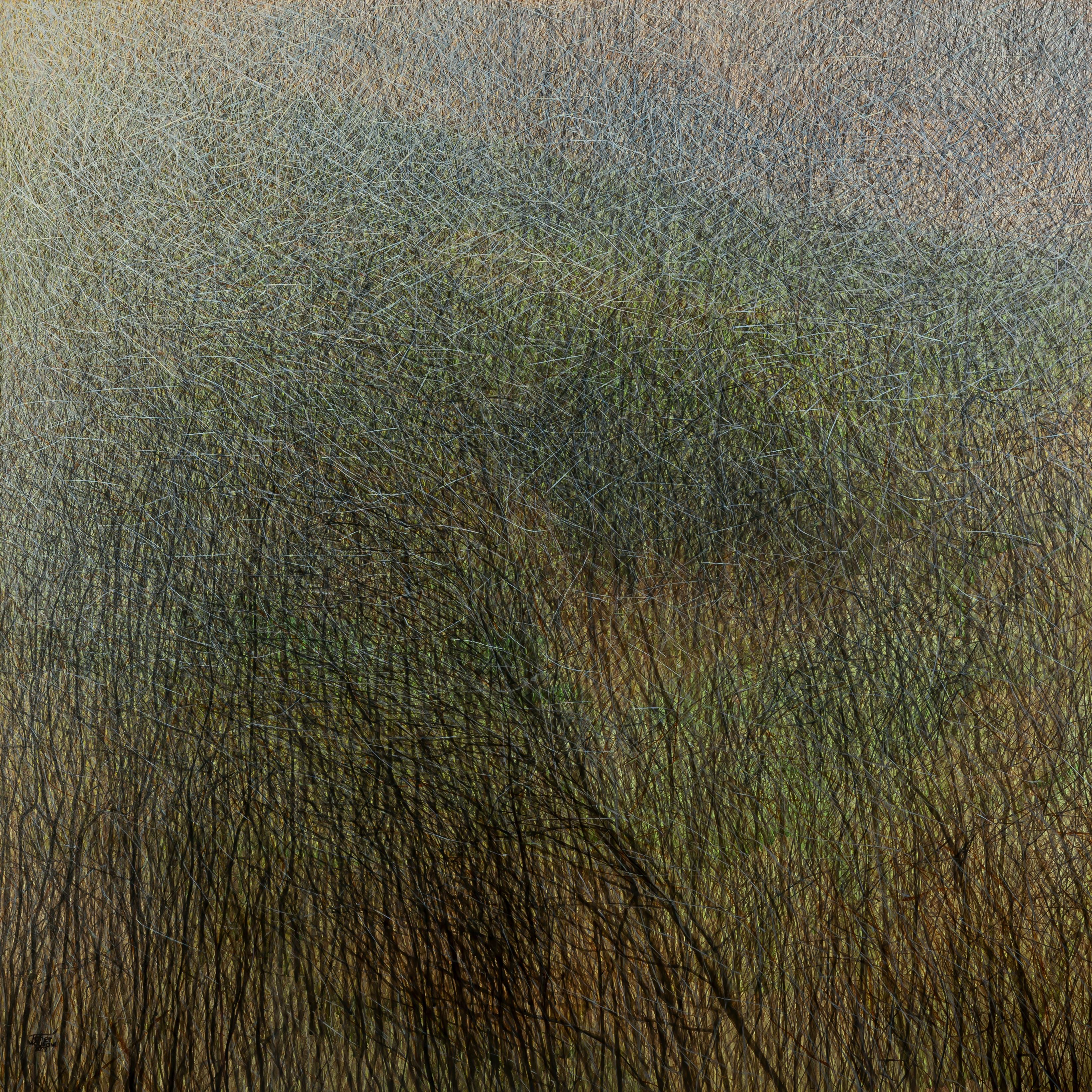 Seyed Taher Moosavi, Nature 3, 2022