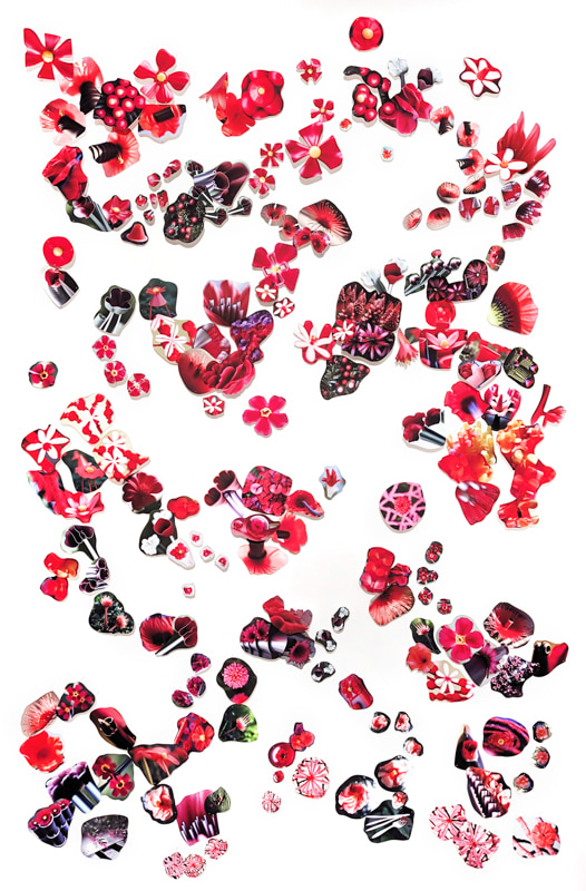 Sanaz Mazinani, Red Flowers, 2023