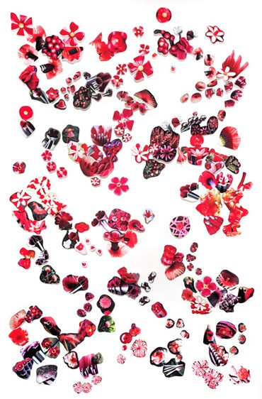 Print and Multiples, Sanaz Mazinani, Red Flowers, 2023, 67244
