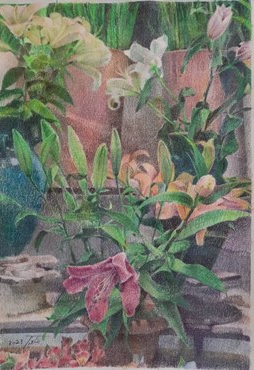 Fatemeh Shakouri, Untitled, 0, 0