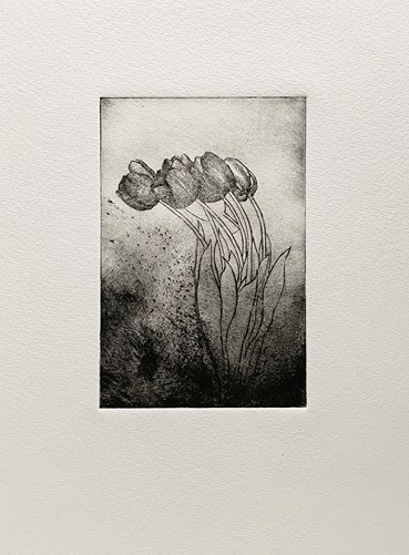 Printmaking, Mehdi Babaei, Untitled, 2022, 82726