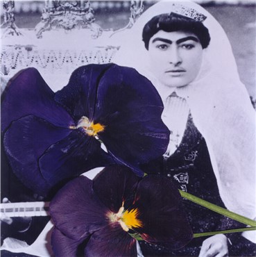 بهمن جلالی