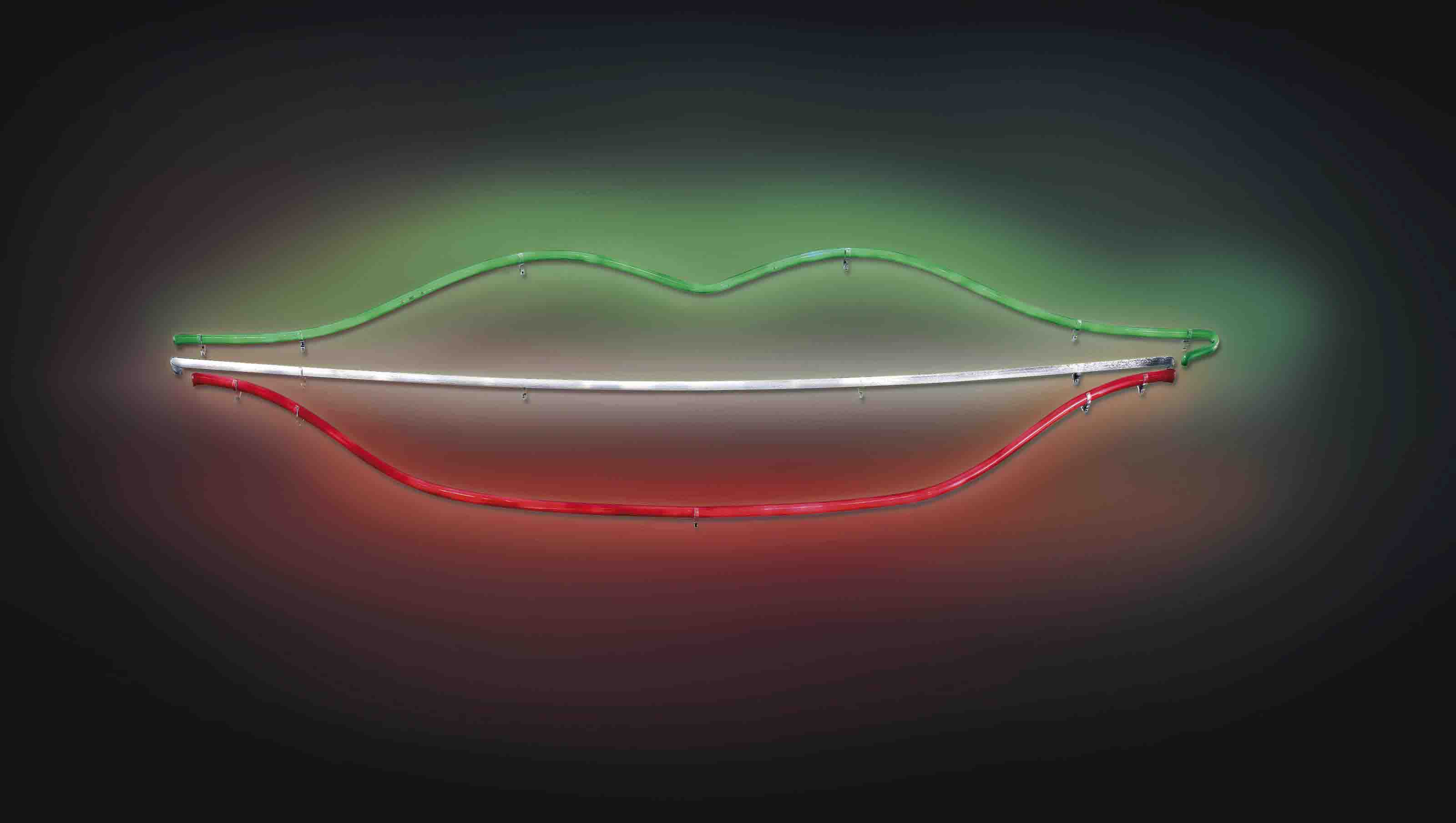 Saeed Farahani, The Silence, 2011