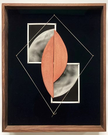 Mixed media, Sheree Hovsepian, Rosy, 2025, 79307