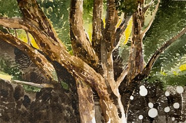 Painting, Nevisa Sayadian, Resting, 2024, 78902