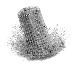 home-scroll-7