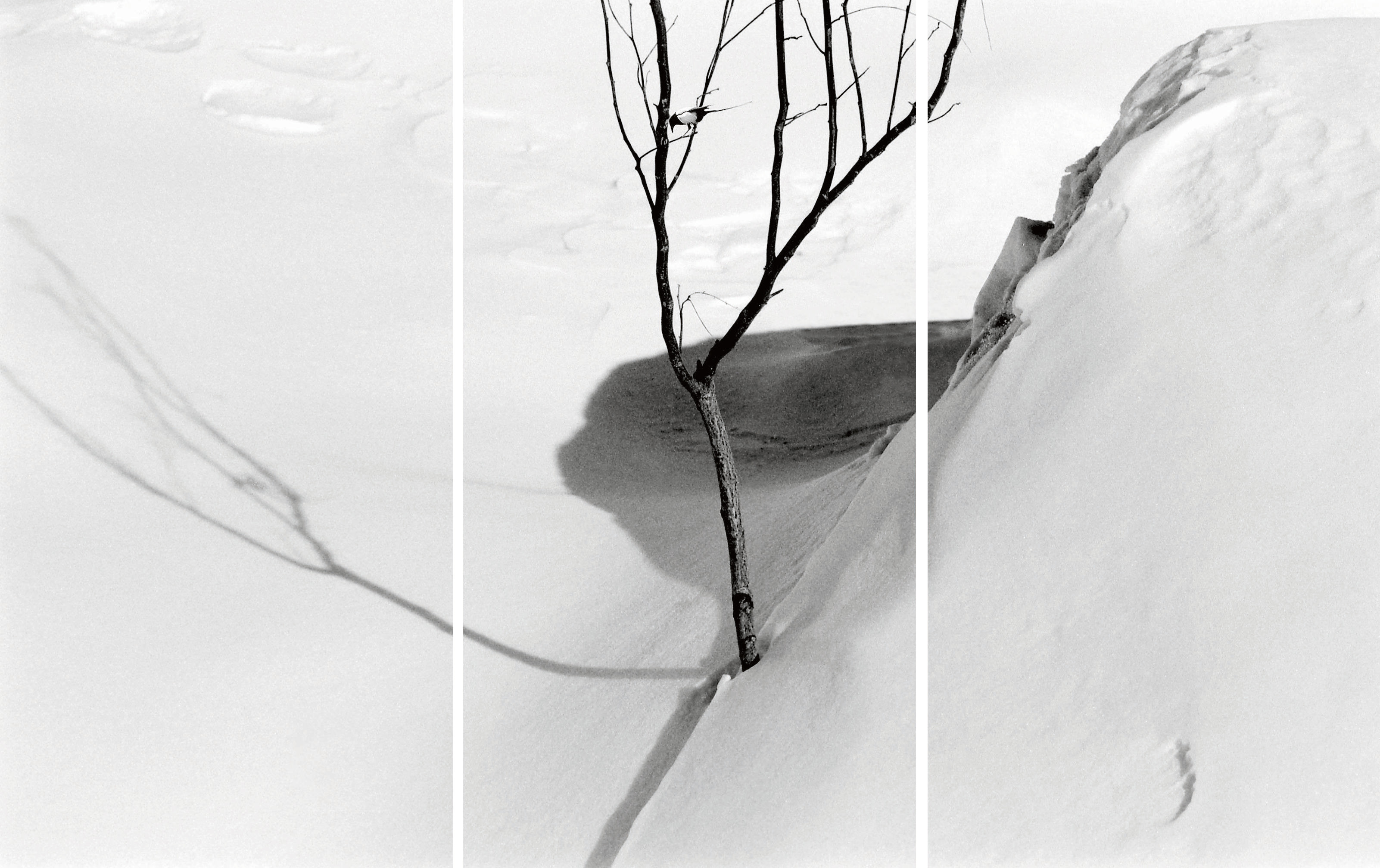 Abbas Kiarostami, Untitled, 1992