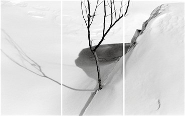 Photography, Abbas Kiarostami, Untitled, 1992, 5022